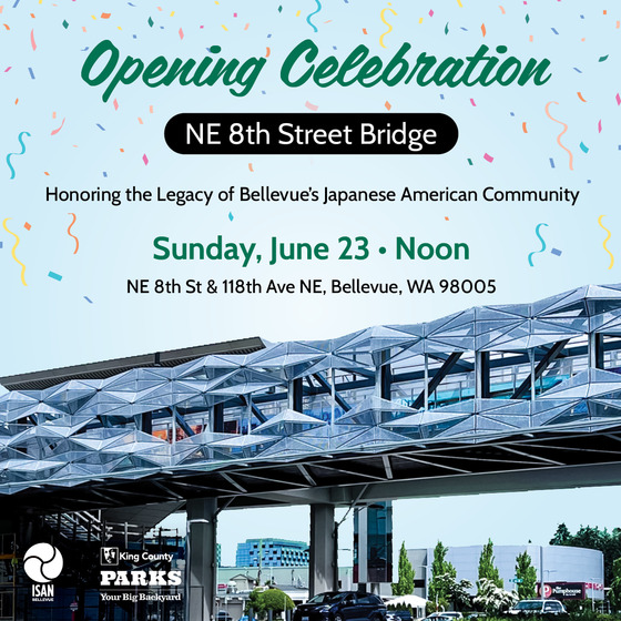Graphic with details about 8th St Bridge Opening