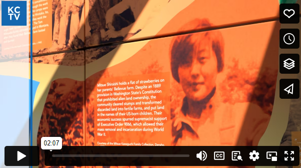 A screenshot of the video about the Japanese American legacy art installations