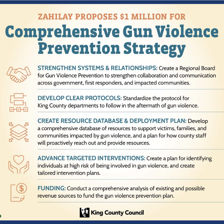 Comprehensive Gun Violence Prevention Plan