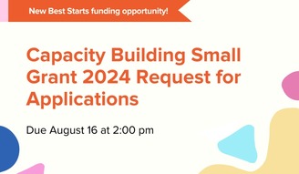 capacity building small grants