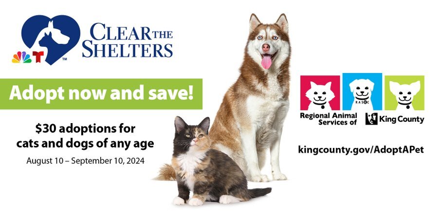 Clear the shelters