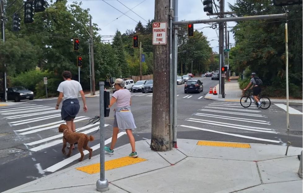 Photo shows busy intersection with cars, bicycles, pedestrians and dog waiting at red lights