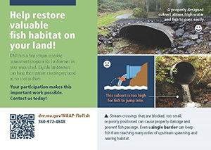 Informational brochure with image of culverts