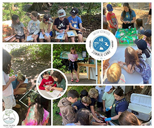 Elementary school children gathered around outdoors looking at dirt, fish, and paperwork