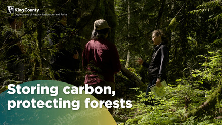 Celebrating 5 years of King County's Forest Carbon Program 