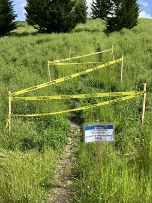 An eroded path on a grassy hillside is closed off using caution tape.