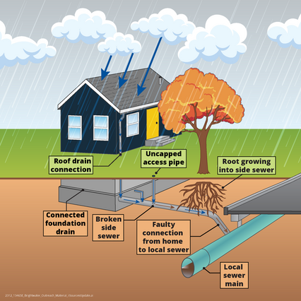 A graphic shows how rainwater and groundwater can seep into our sewer system due to broken pipes and tree roots.