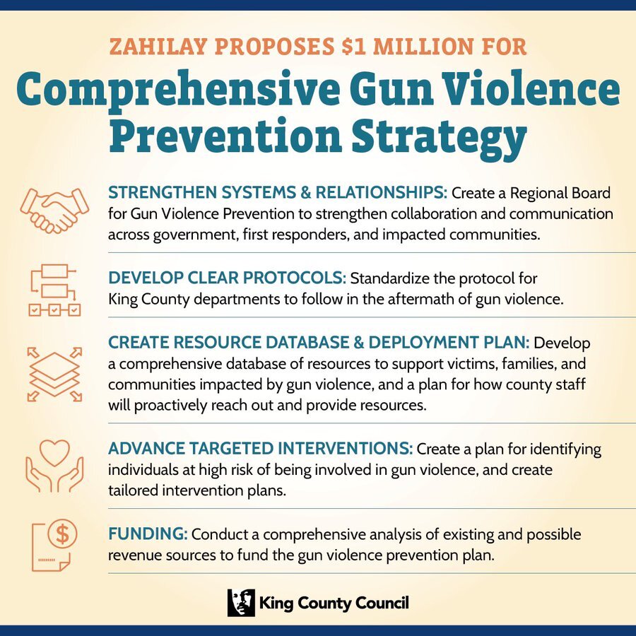 Gun Violence Prevention Plan Graphic