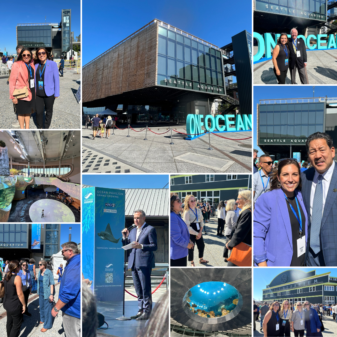 Ocean Pavilion grand opening collage