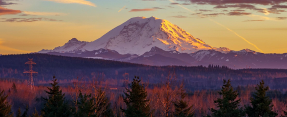 Mt Rainier