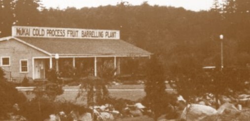 A sepia-tinted photo of the Barrelling Plant