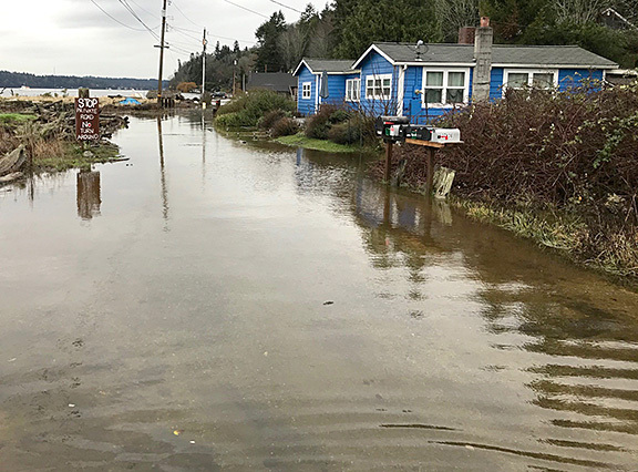 Flooded street on Vashon Island