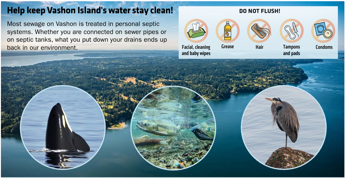 Help keep Vashon Island's water stay clean!