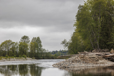 flood management