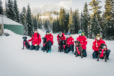 Avalanche Dog Rescue