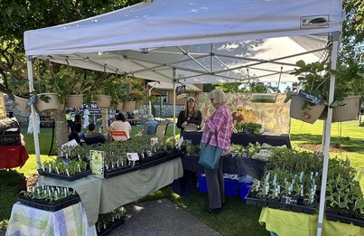 NB Farmers Market