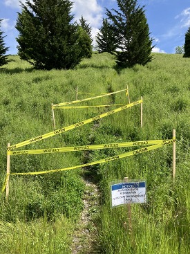 Yellow caution tape covers the informal trail up Alpha Hill. A sign reads NOTICE AREA CLOSED FOR RESTORATION.