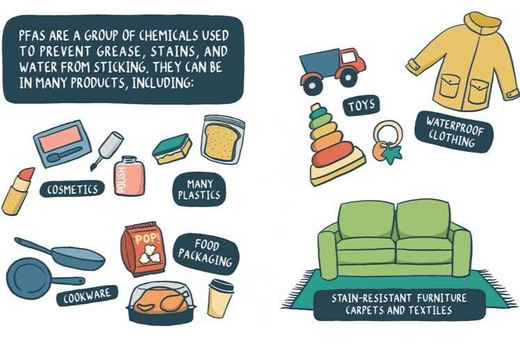 PFAS are a group of chemicals used to prevent grease, stains, and water from sticking.