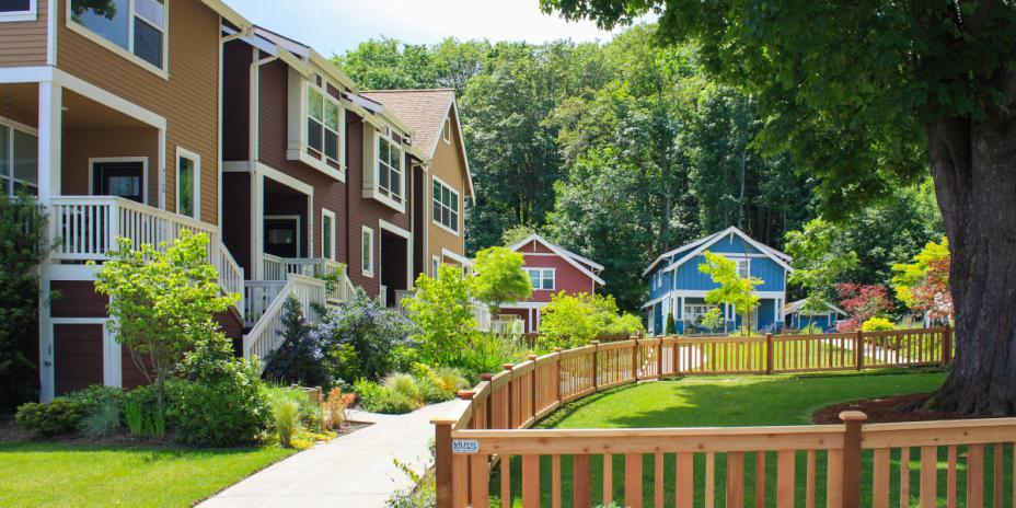 Homes surrounding a grassy lawn on a sunny day