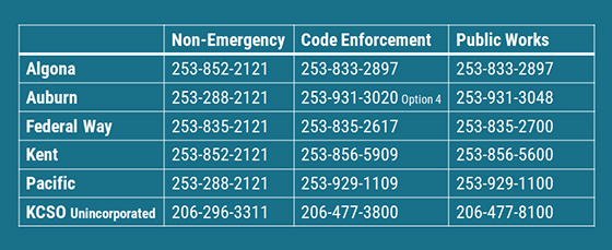 Non-Emergency Phone Numbers