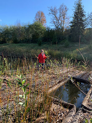 Photo of a woman standing in a wetland