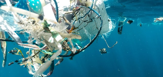 Plastic Aquatic Trash-Narrow