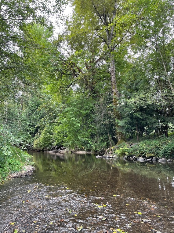 Issaquah Creek photo summer