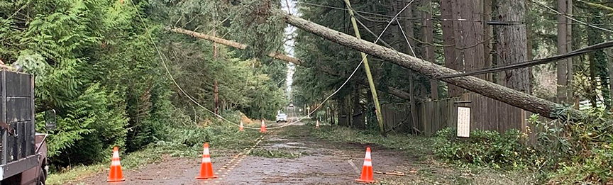 Windstorm damage