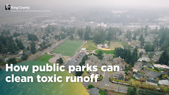 How public parks can clean toxic runoff