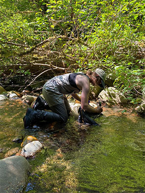 Person working in a stream, surveying for stream bugs