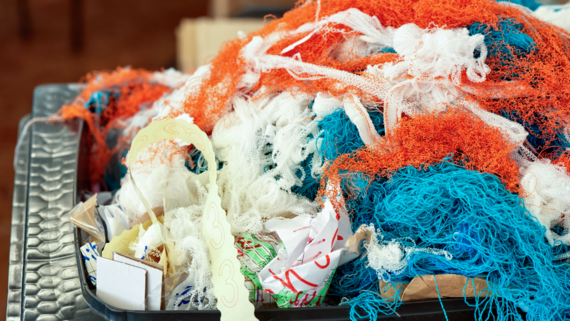 Frimu Films / Canva Teams