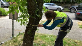 Person surveying topography as part of a Harborview Bond project (2023)