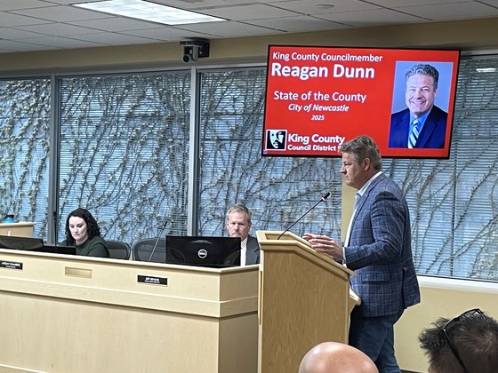 Newcastle City Council