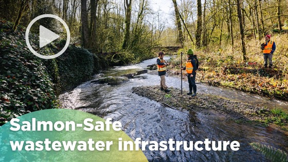 Three workers in safety vests stand along a small creek surrounded by forest, conducting a site survey for a certified Salmon-Safe sewer project.