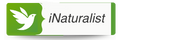 iNaturalist logo