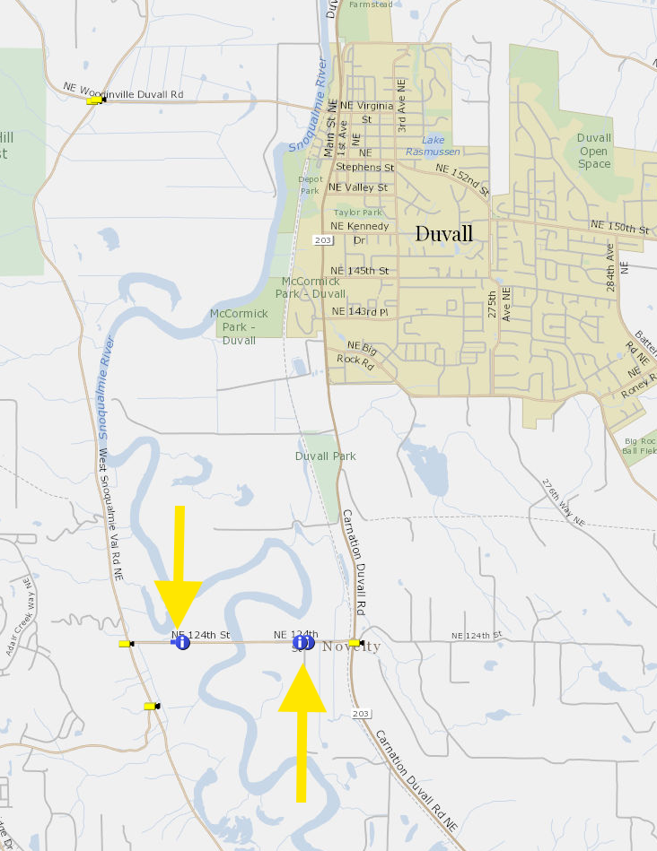 NE 124th St soil sampling map