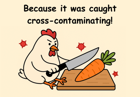 Chicken chopping a carrot