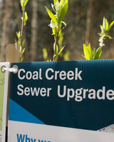 Coal Creek Sewer Upgrade sign with green plants.