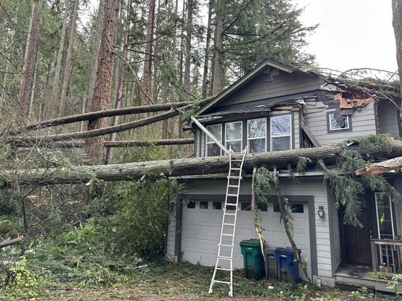 Storm damage