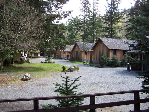 camp waskowitz