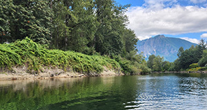 Snoqualmie River with riverbank trees and Mount Si in the background Snoqualmie River with riverbank trees and Mount Si in the background