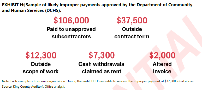 A screenshot from the Auditor's report showing examples of improper payments