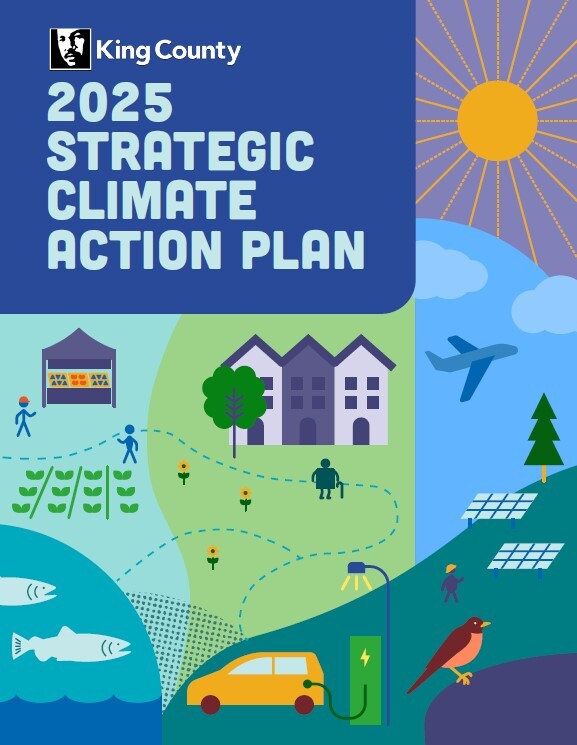 strategic climate action plan