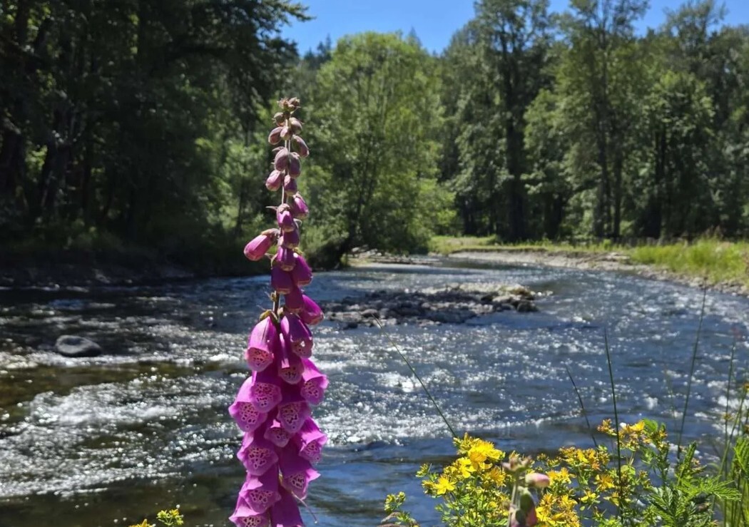 Flood Control Grants