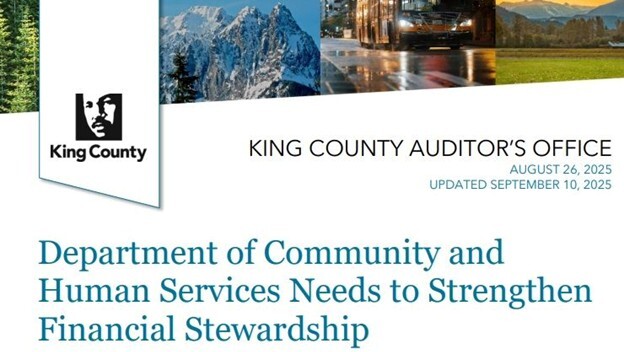 A screenshot of the cover page of the DCHS audit