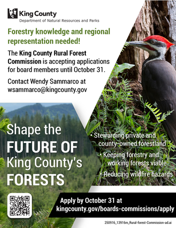 rural forest commission