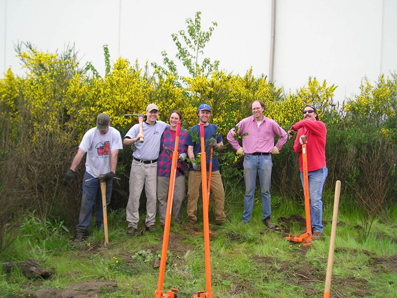 Group of people smiling holding weed wrenches in front of a large patch of yellow, flowering, scotch broom plants.