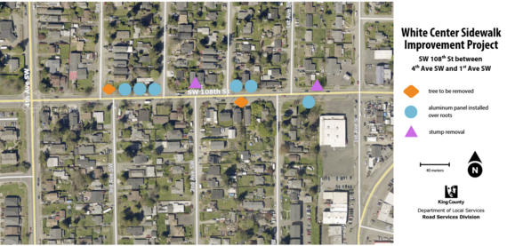SW 108th St tree removal