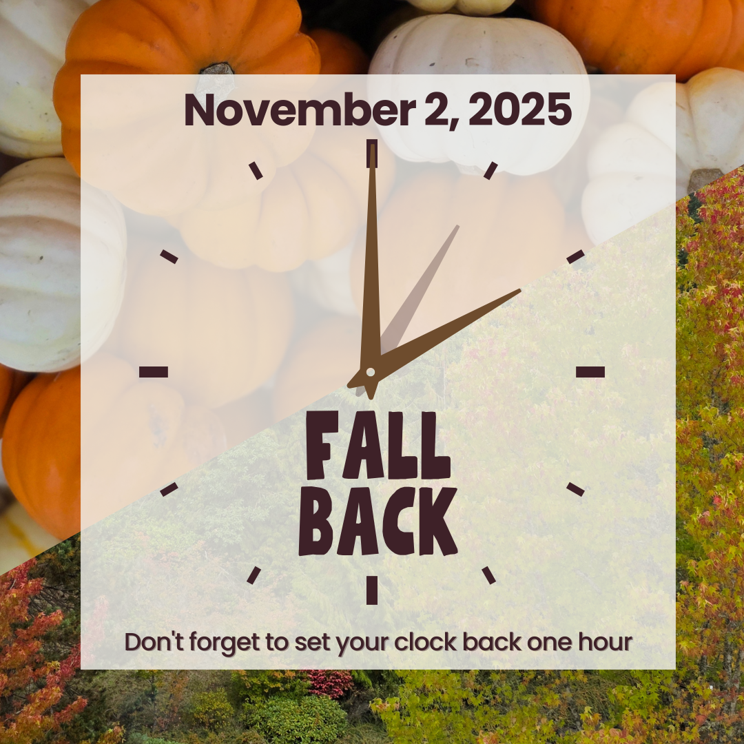 Fall Back