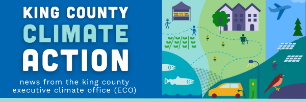 climate action newsletter header